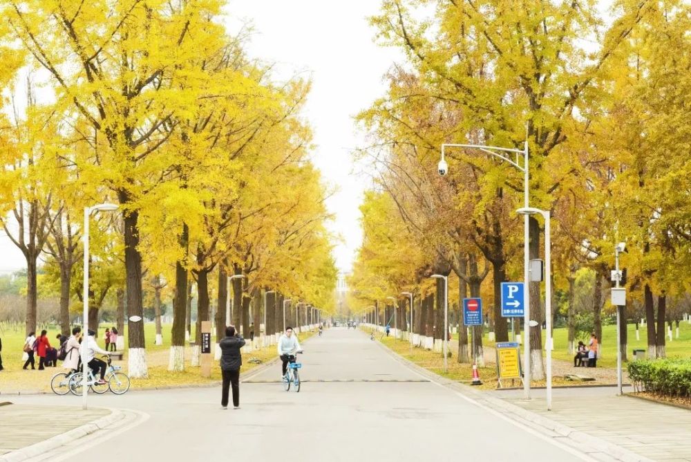 电子科技大学清水河校区