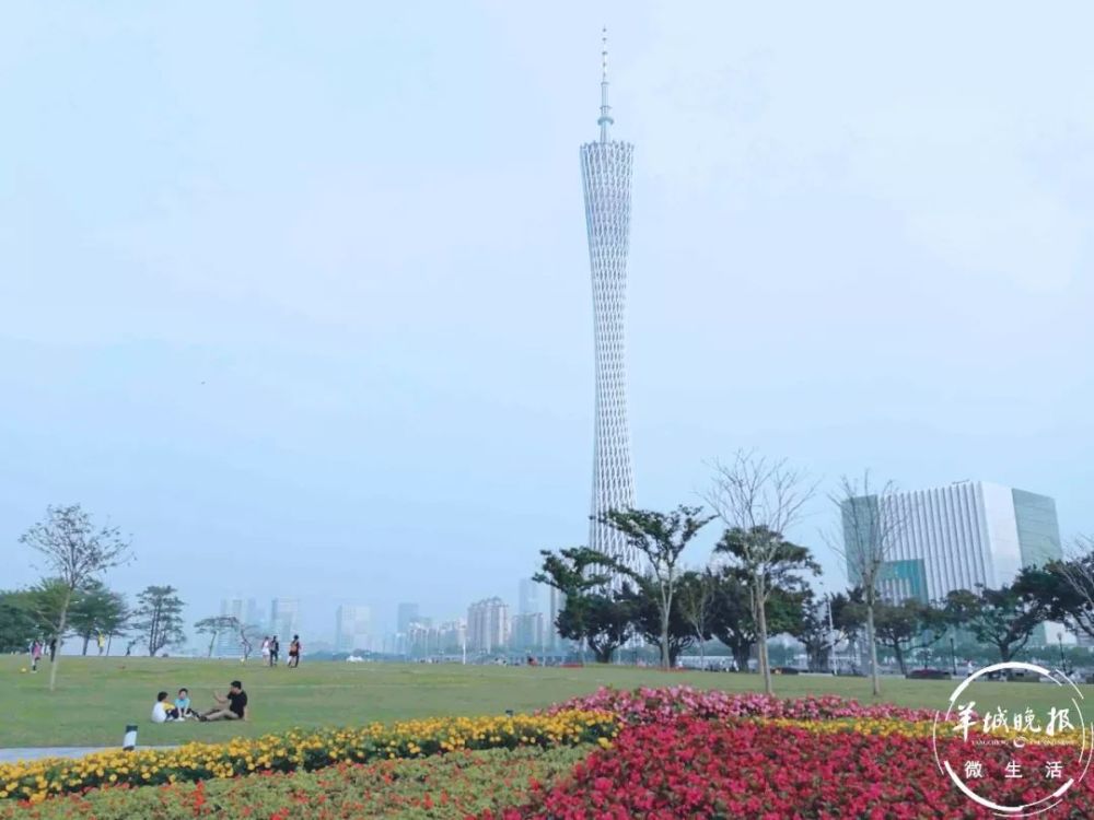 还是 广州市中心风景最好的小岛!