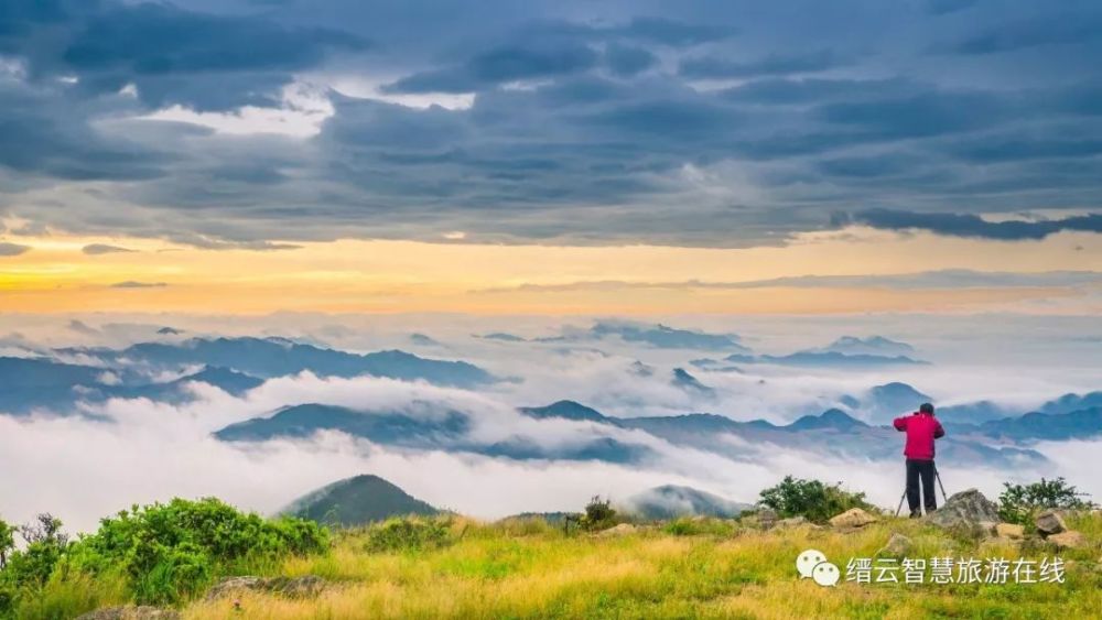 缙云县,云海,田利彪,大洋山