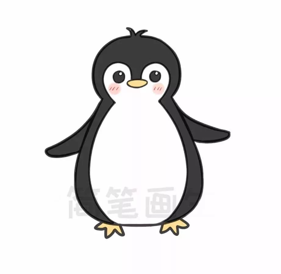 【简笔画教程】企鹅