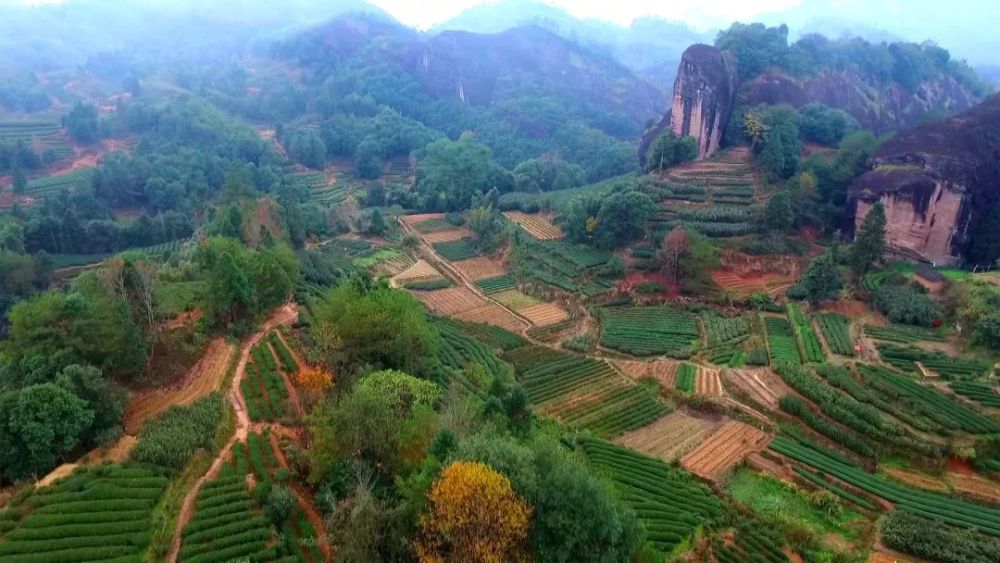 有道是,"臻山川精英秀气所钟,品具岩骨花香之胜".