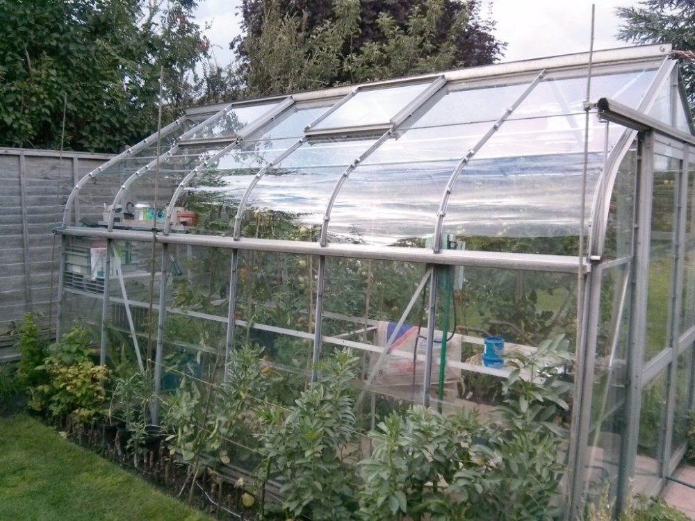 自己制作一个小温室,四季都可以栽种植物,花几百块就能做好