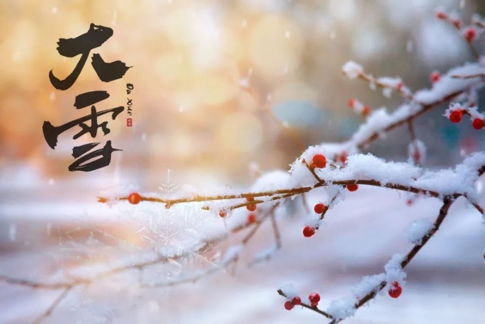 大雪,节气,月令七十二候集解,二十四节气