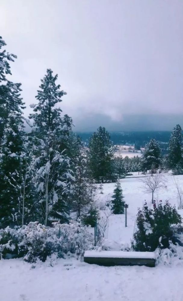 下雪天发朋友圈的句子,雪景发朋友圈配一句话!