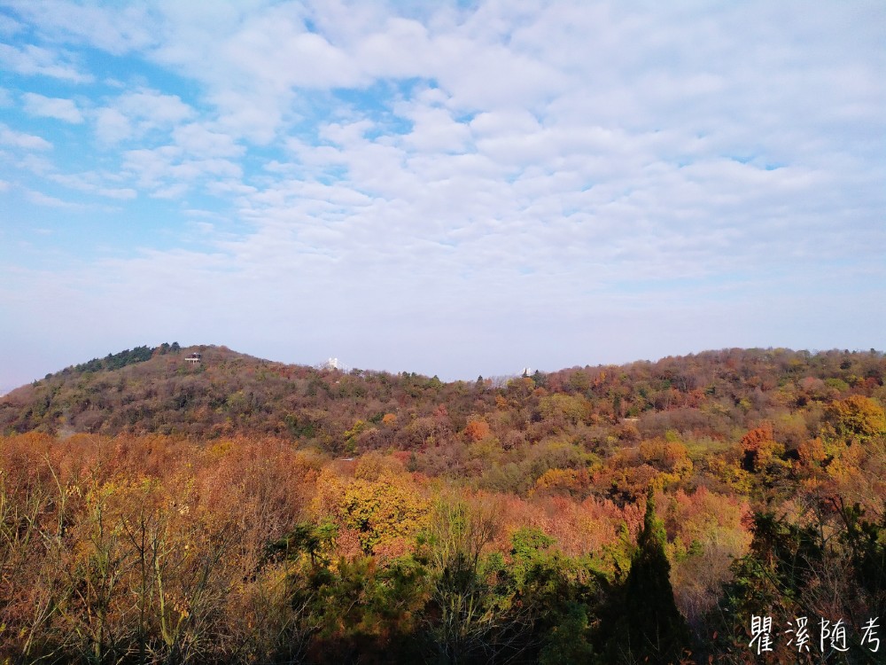 南京栖霞山层林尽染,"枫"光无限,游客纷至沓来观赏美景