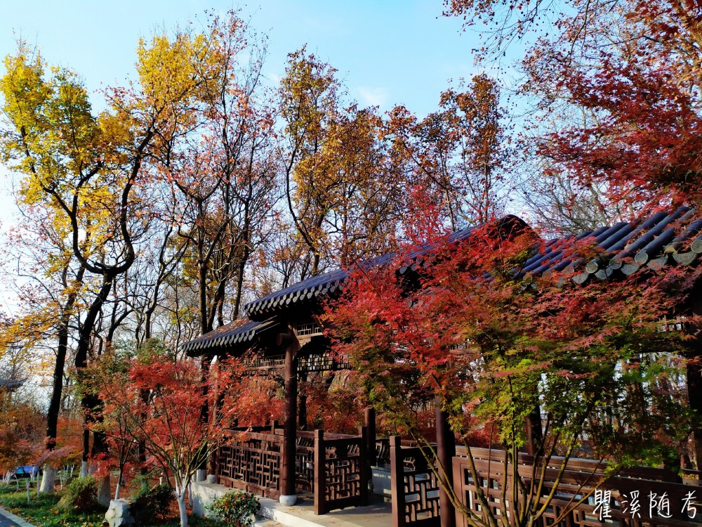 南京栖霞山层林尽染,"枫"光无限,游客纷至沓来观赏美景