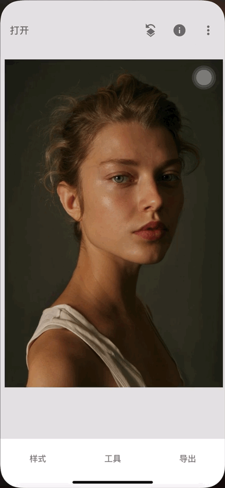 或者使用工具当中的「画笔-加光减光」来手动调整你想有光泽感的地方