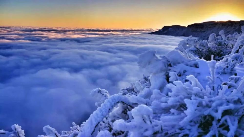 韭菜坪上的雪景(刘勇  摄)