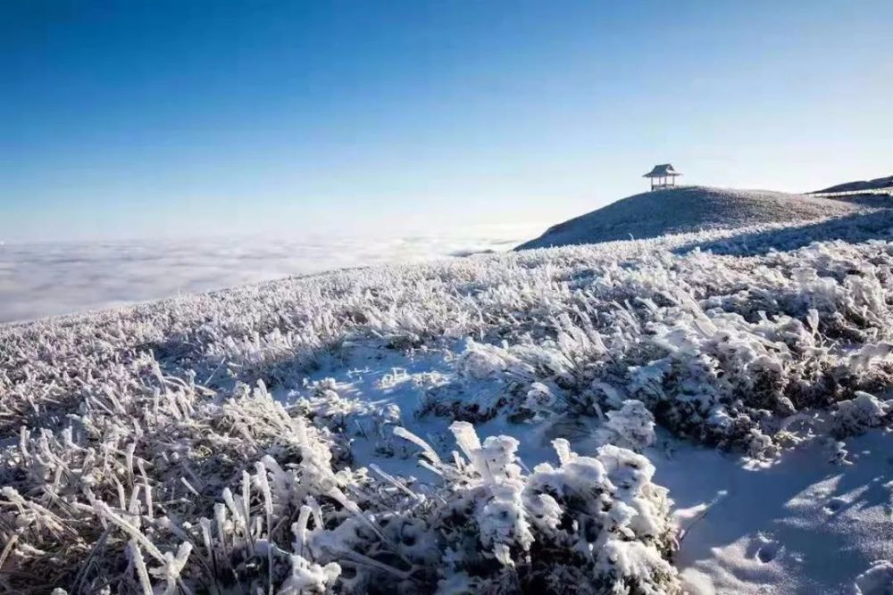 韭菜坪的雪,惊艳了整个世界,唤醒你尘封的记忆,美吗?