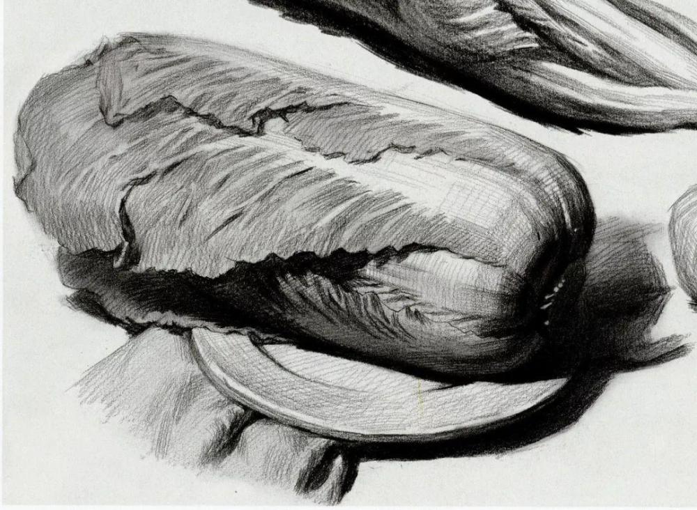 素描和色彩中常见的果蔬类静物有哪些?这些静物又该如何刻画?