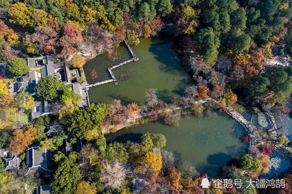 江苏苏州:天平山五彩"枫"景醉游人