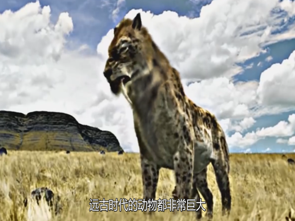 猛犸象,袋狼,剑齿虎,恐狼,巨角犀
