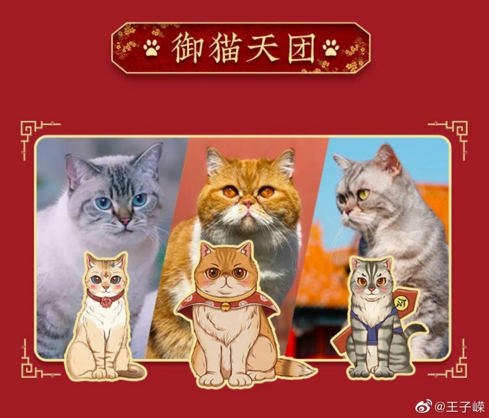故宫御猫憨态可掬!手办周边拿到手软!