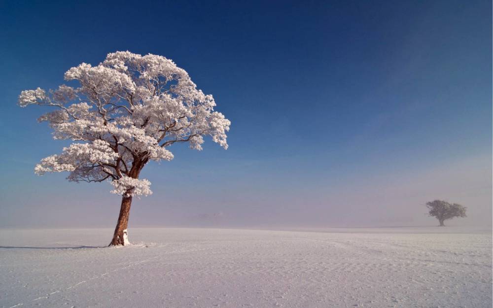 2020年的第一场雪,比2002年来的更晚一些