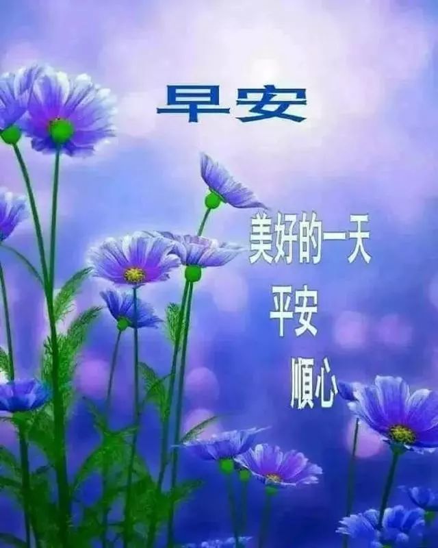 周末清晨问候早上好祝福图片 温馨的早安动态图片带字