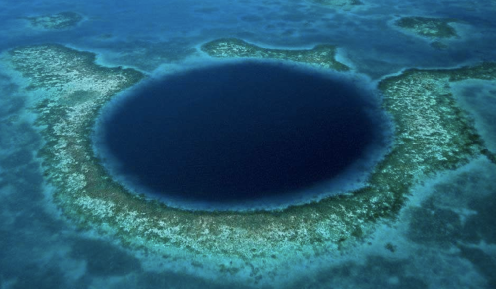 一万米深的海底到底有什么?科学家:海底的生物足够吓退人类!