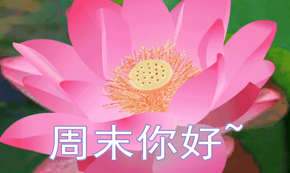 周末愉快早安问候语 周末愉快早安图片大全