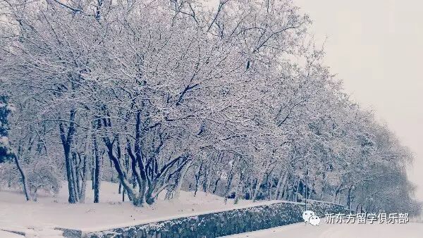 沈阳,沈阳航空航天大学,雪景,鲁迅美术学院,东北大学,辽宁大学