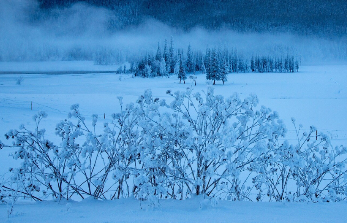 唯美意境雪景壁纸,清新静谧下雪天,一起来欣赏吧