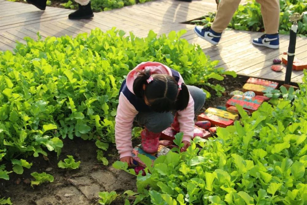 昆山市幼儿园特色装备的运用与管理研讨活动举行