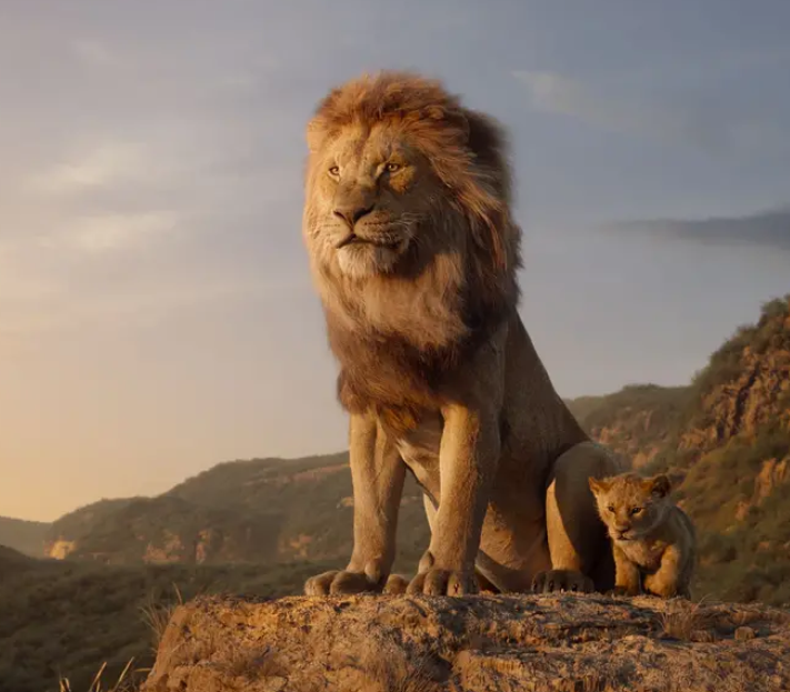 电影《狮子王》小狮子王在众多朋友的陪伴下,最终成为