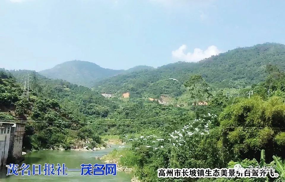 长坡镇位于广东省高州市东北部,全国十大水库之一的高州水库坐落在该