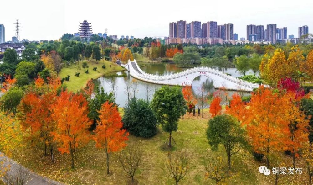 别以为这已是最美的风景? 不 诗意的铜梁才刚刚开始