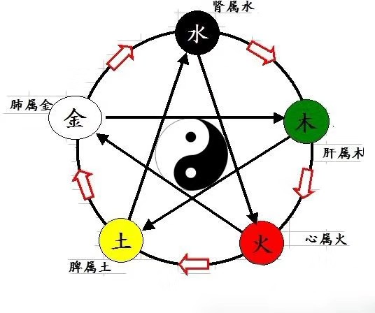 八字,己巳,婚姻,财星,财运,五行