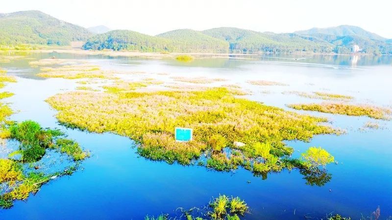 博罗县,水库,上良村