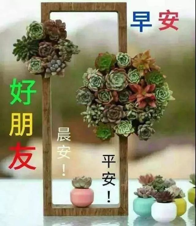 128社区最新款早安图片,早上好图片新版真人 清晨问候大家的早上好漂亮表情图片,最新早安温馨祝福