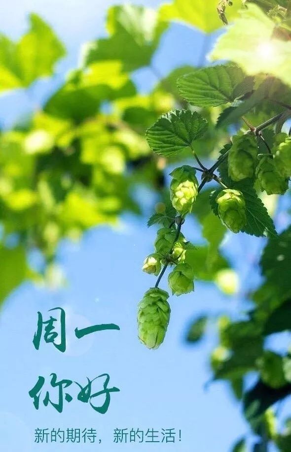 新的一天,新的起点!