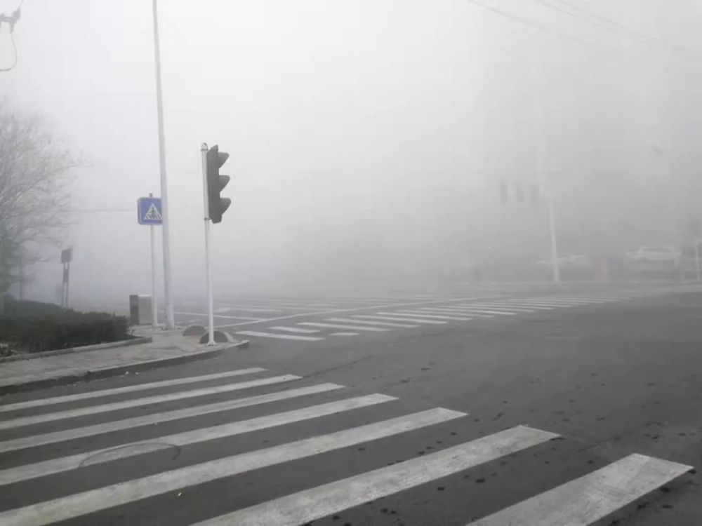 能见度不足50米!潍坊发布大雾红色预警!大雾