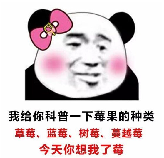 表情包,搞笑,最受欢迎,撩人