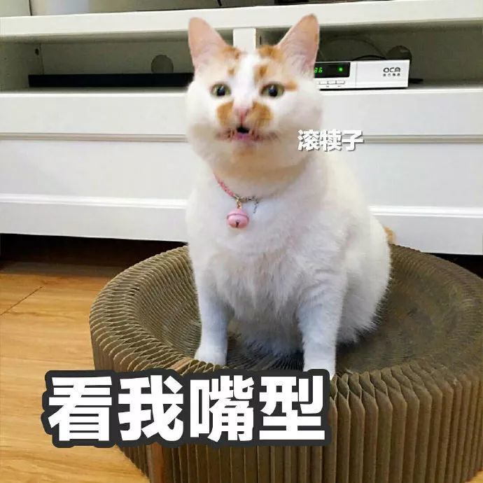 表情包 我忍!