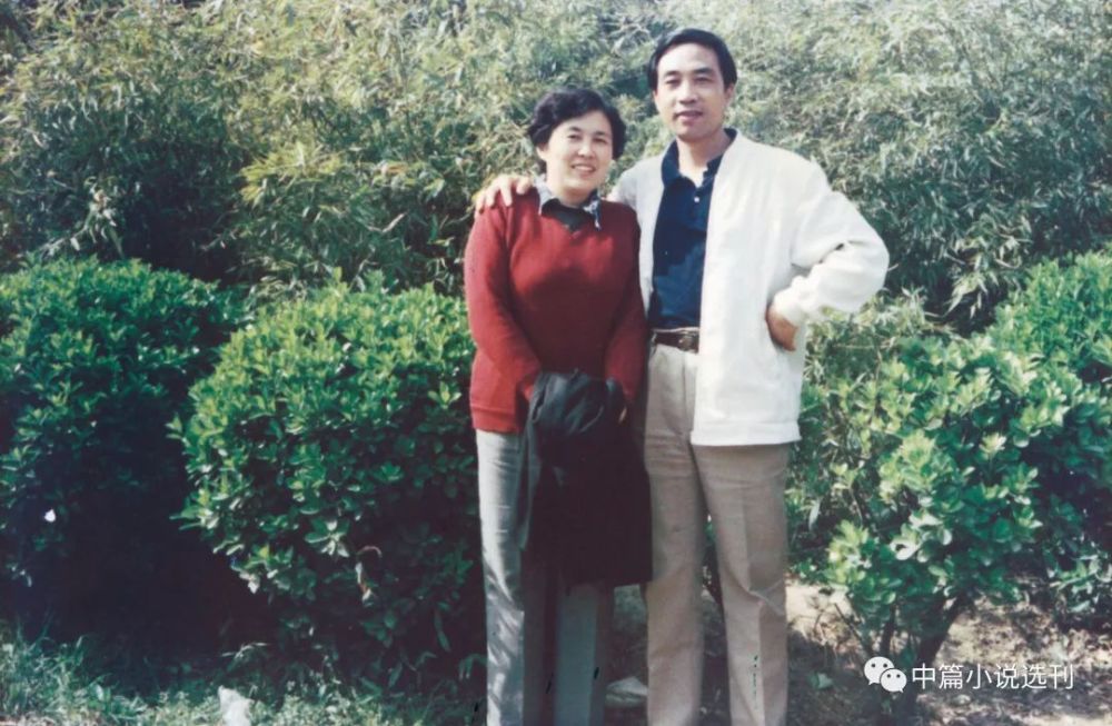 白描,贾平凹,作协,路遥