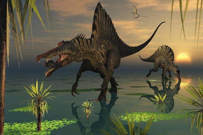 棘龙是侏罗纪时代最大型的陆生肉食性恐龙之一