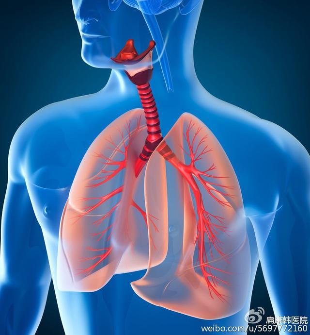 肺是人体的抵御外邪的第一道屏障,需要精心保护