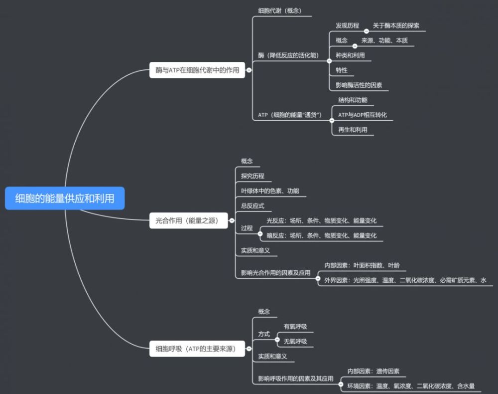 【精品干货】高中生物思维导图来袭!你的复习好助手!