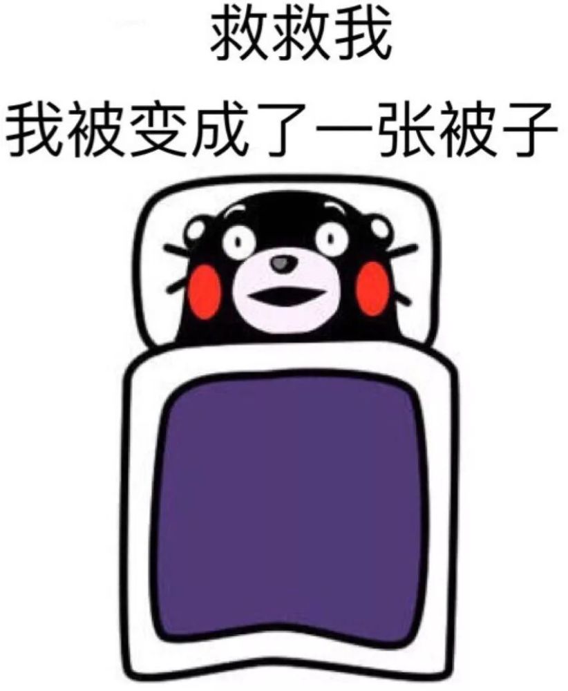 昨天不是才起过吗,怎么又要起床!