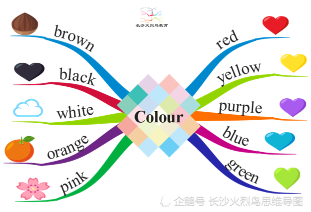 思维导图画一画,英语单词记忆,so easy!