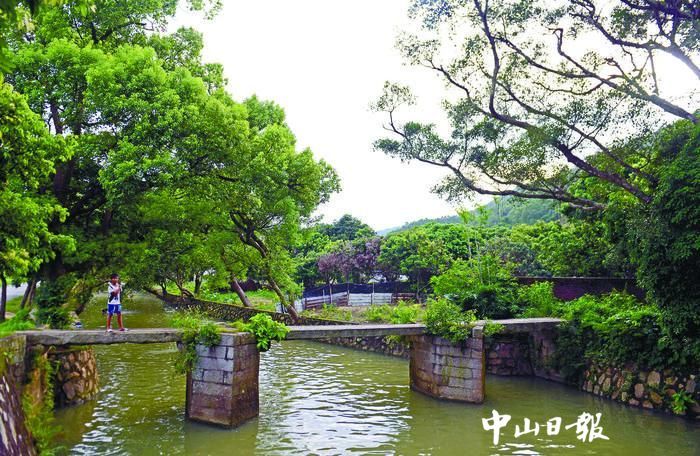 翠山路口左转 即能发现一处 "世外桃源" 文波 摄 香樟公园占地32亩