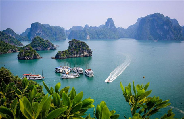 中国人去越南旅游,一不小心就中招,当地华人:轻易不要