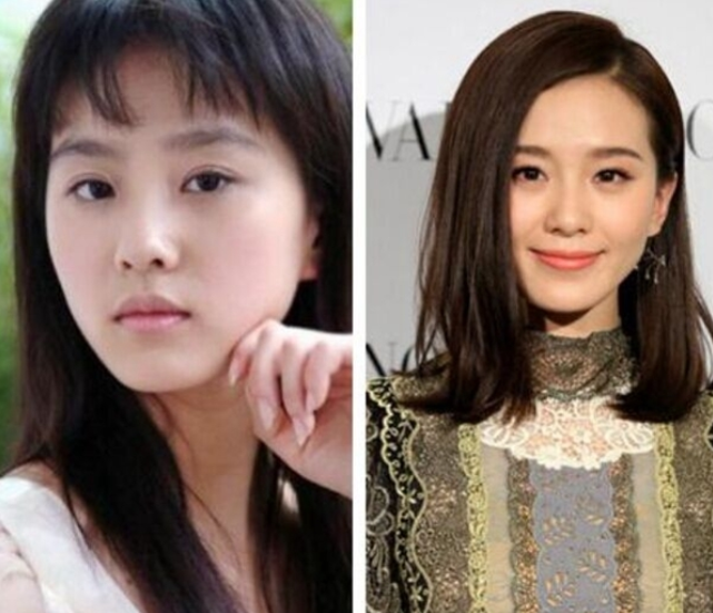 女星,刘诗诗,赵丽颖,出道前,颜值