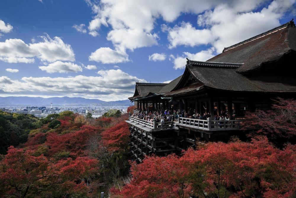 日本,旅游,京都,伏见稻荷大社,游客