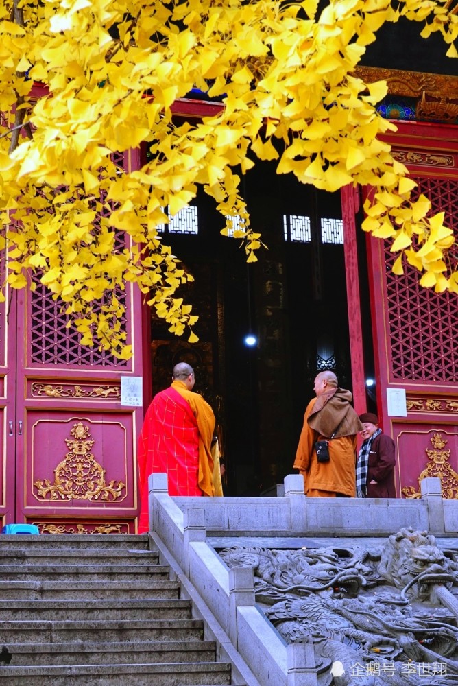 宝通寺,武汉,银杏,古刹