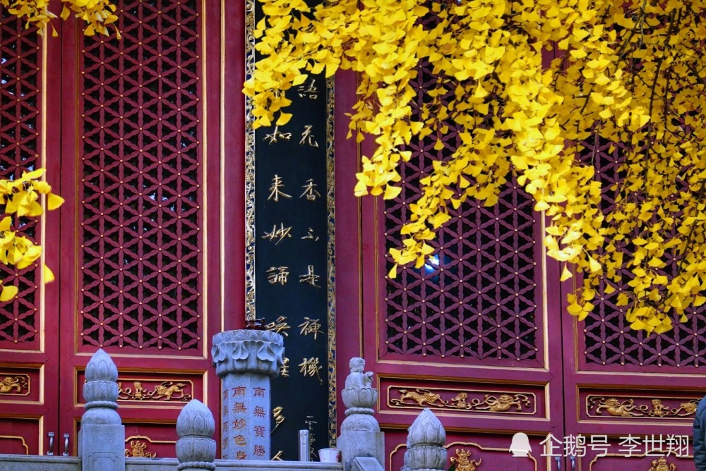 宝通寺,武汉,银杏,古刹