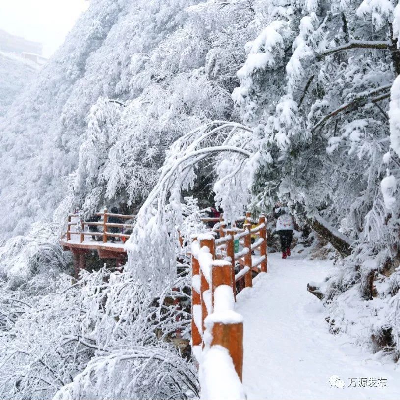 八台山,冰雪节,万源市,景区,门票,达州