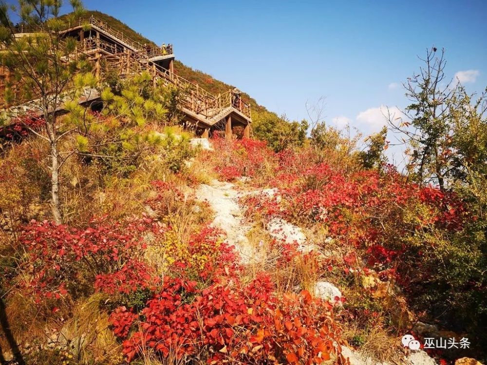 红叶,巫山县,巫山红叶,曹先斌,红叶节,三峡