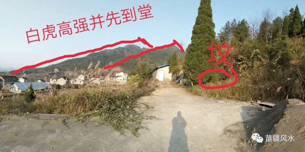 上图红圈中那棵柏树后面,便是那个吞棺和吐棺的龙穴,即是坟墓塌入