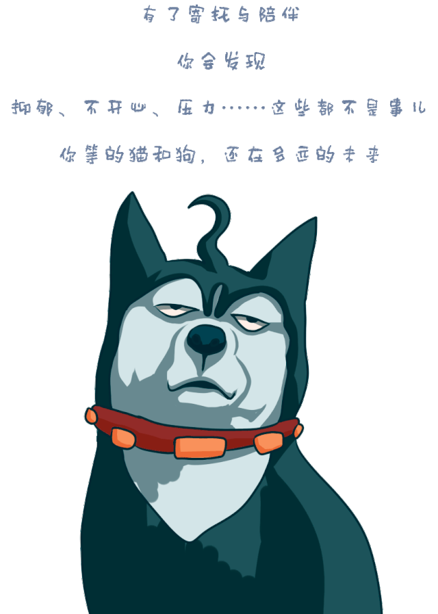 抑郁不开心压力山大试试撸猫撸狗吧
